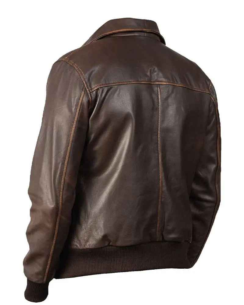 Luis Bomber Leather Jacket USA Jackets