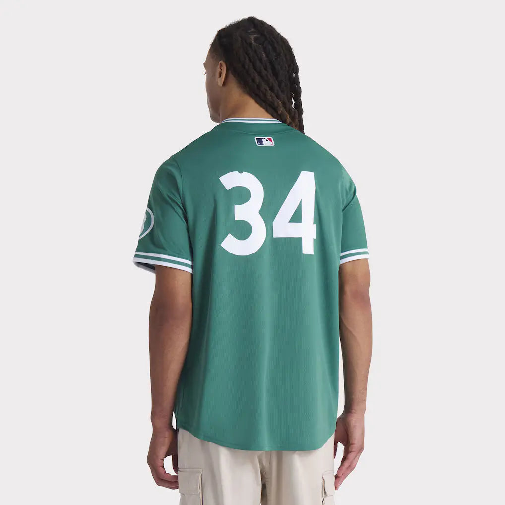 Men’s Boston Red Sox David Ortiz Nike Green 2025 Jersey USA Jackets