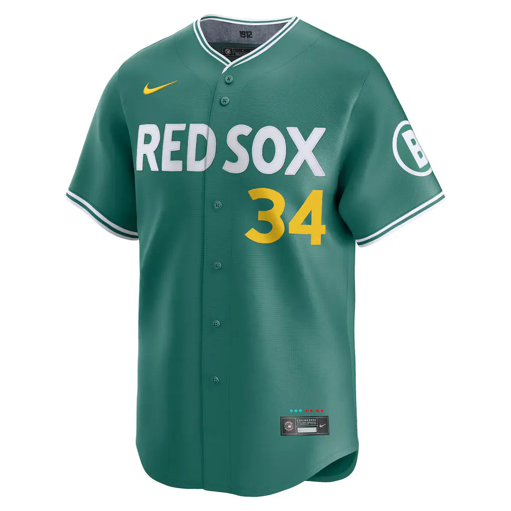 Men’s Boston Red Sox David Ortiz Nike Green 2025 Jersey USA Jackets