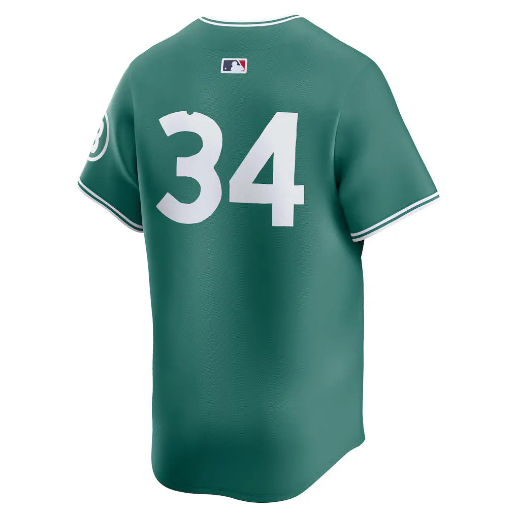 Men’s Boston Red Sox David Ortiz Nike Green 2025 Jersey USA Jackets